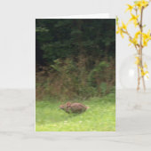 上のラバ走ス カード (黄色い花)