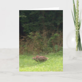 上のラバ走ス カード