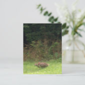 上のラバ走ス ポストカード (スタンド正面)