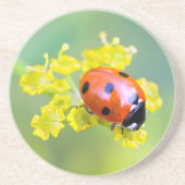 上の女性 コースター (正面)