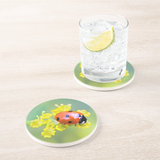 上の女性 コースター (側面)