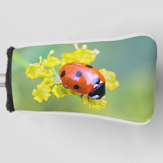 上の女性 ゴルフヘッドカバー (正面)