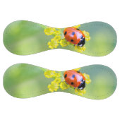 上の女性 ソフトボール (パネル)