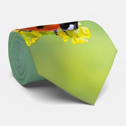 上の女性 ネクタイ (ロール)