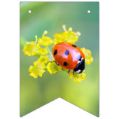 上の女性 バンティングフラッグ (第1の旗)