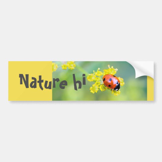 上の女性 バンパーステッカー (正面)