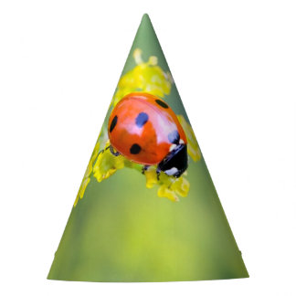 上の女性 パーティーハット