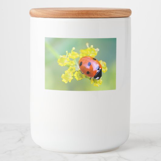 上の女性 フードラベル (正面)