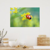 上の女性 ポスター (キッチン)