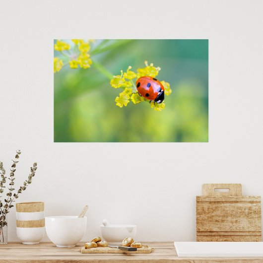 上の女性 ポスター (キッチン)