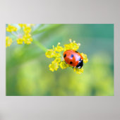 上の女性 ポスター (正面)