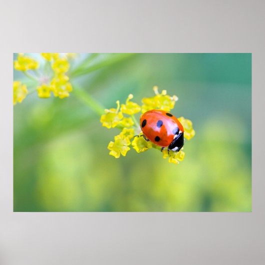 上の女性 ポスター (正面)