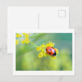 上の女性 ポストカード (正面/裏面)