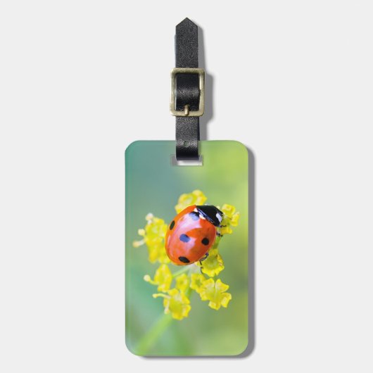 上の女性 ラゲッジタグ (正面縦)