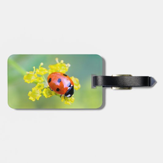 上の女性 ラゲッジタグ (裏面横)