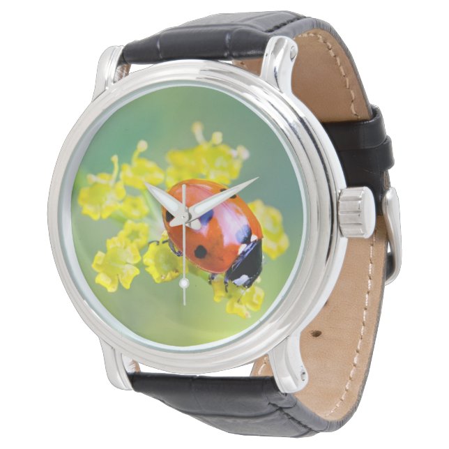 上の女性 腕時計 (アングル)