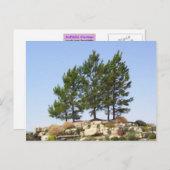 上の木 ポストカード (正面/裏面)