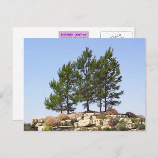 上の木 ポストカード (正面/裏面)