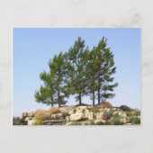 上の木 ポストカード (正面)