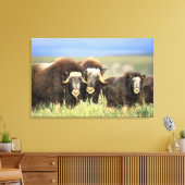 上の柳の低木のムスコクセンのグループ キャンバスプリント (インサイチュ (リビング))