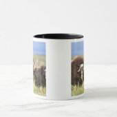 上の柳の低木のムスコクセンのグループ マグカップ (中央)