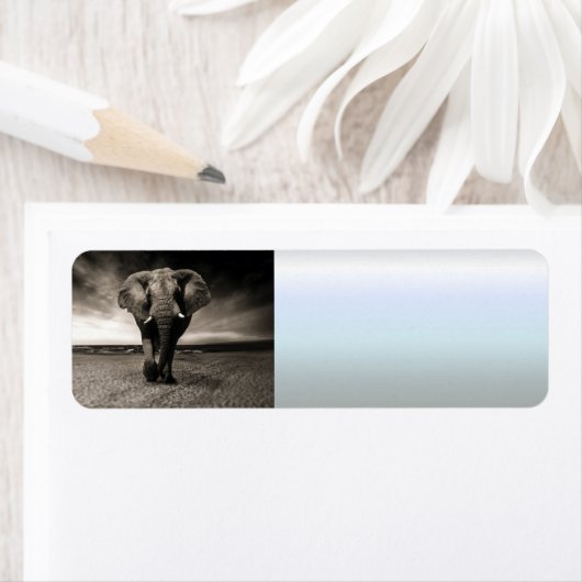 上の象走 ラベル (インサイチュ)