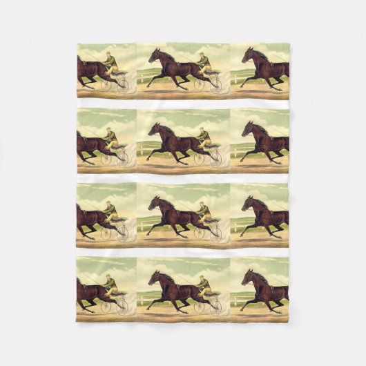 上のSulkyチャンピオン フリースブランケット (正面)