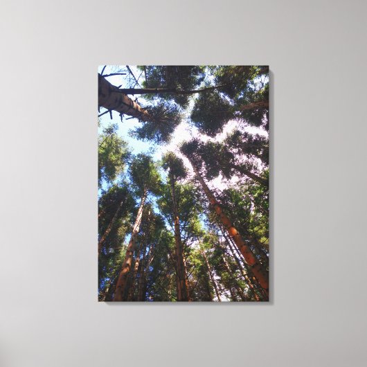 上へ キャンバスプリント (正面)