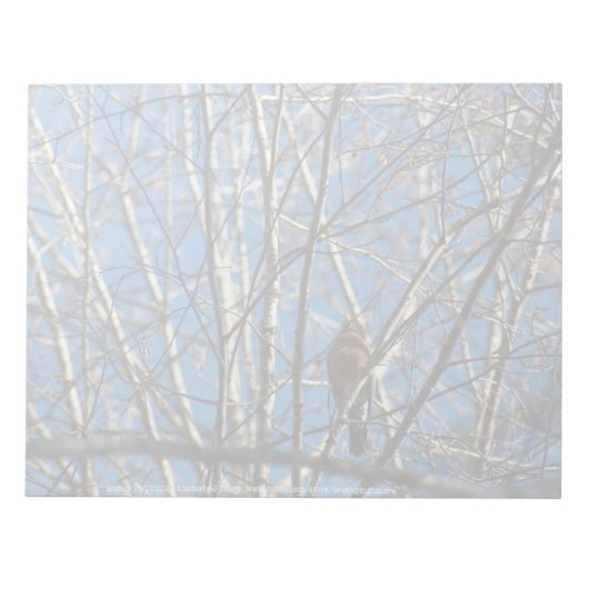 上へ ノートパッド (正面)