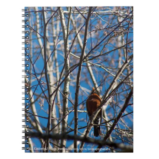 上へ ノートブック (正面)