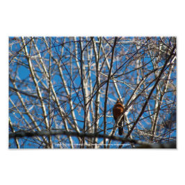 上へ フォトプリント           