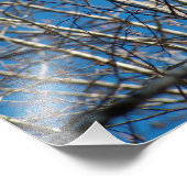 上へ フォトプリント            (角)