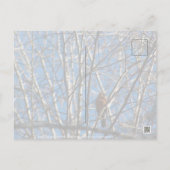 上へ ポストカード (裏面)