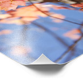 上へ、上へ葉へ フォトプリント            (角)