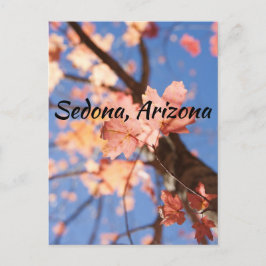 上へ、上へ、アリゾナ葉州セドナで ポストカード