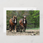 上り坂はがき ポストカード (正面/裏面)