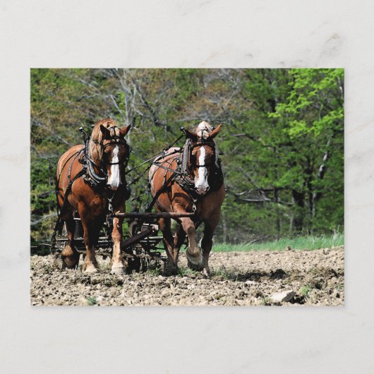 上り坂はがき ポストカード (正面)