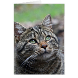 上を見て、標準の白い封筒が含まれている