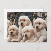 上ポップ・アートのへ！子犬 ポストカード (正面/裏面)