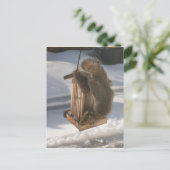 上下逆リスの葉書 ポストカード (スタンド正面)