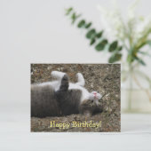 上下逆子猫誕生日はがき ポストカード (スタンド正面)