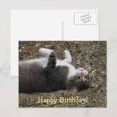 上下逆子猫誕生日はがき ポストカード (正面/裏面)