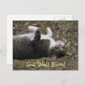 上下逆子猫Get Wellポストカード ポストカード (正面/裏面)