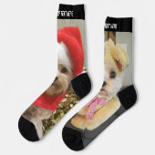 上下2枚の写真と文字(上違う) ソックス (左)