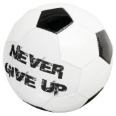 上与えへ サッカーボール (3/4)