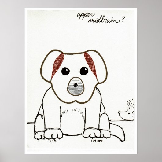 上中脳プリント ポスター (正面)