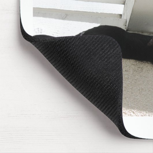 上位ゴールやる気を起こさせるCatフォト引用文 マウスパッド (コーナー)