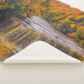 上位秋と紅葉 シェルパブランケット (3/4)