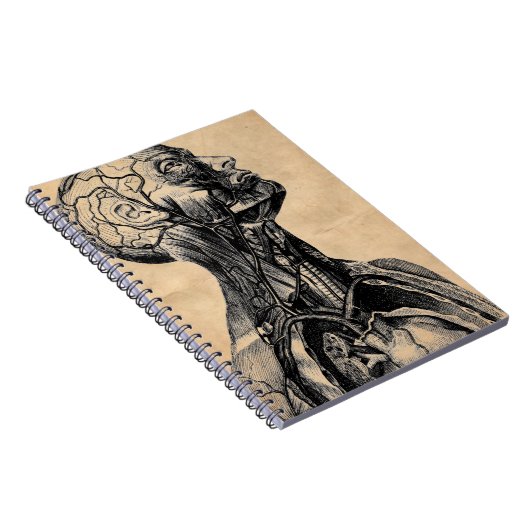 上体のヴィンテージの解剖イラストレーション ノートブック (右側)