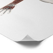 上半身の男性筋肉の体2 ポスター (角)